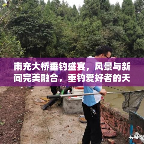 南充大橋垂釣盛宴，風(fēng)景與新聞完美融合，垂釣愛好者的天堂！