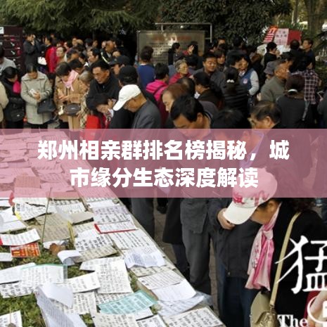 鄭州相親群排名榜揭秘，城市緣分生態(tài)深度解讀