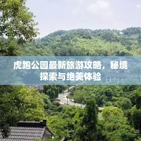 虎跑公園最新旅游攻略，秘境探索與絕美體驗