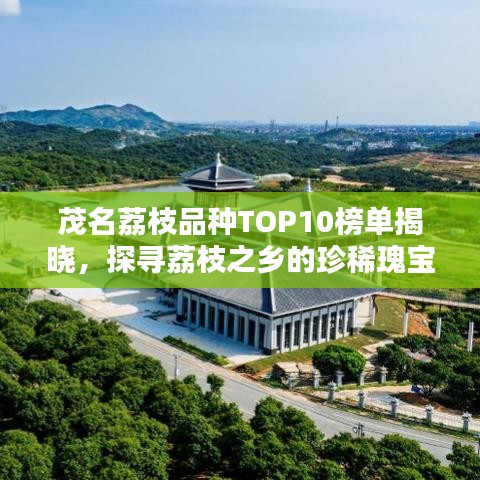 茂名荔枝品種TOP10榜單揭曉，探尋荔枝之鄉(xiāng)的珍稀瑰寶