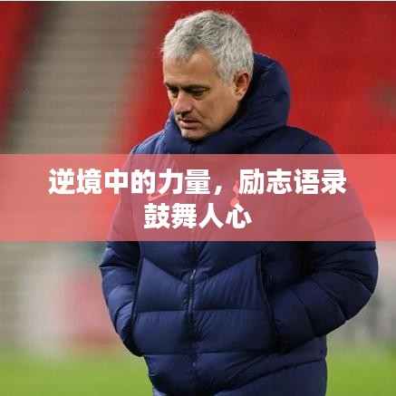 逆境中的力量，勵志語錄鼓舞人心