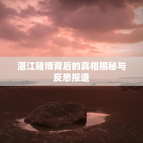 湛江賭博背后的真相揭秘與反思報(bào)道