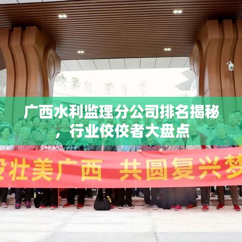 廣西水利監(jiān)理分公司排名揭秘，行業(yè)佼佼者大盤點