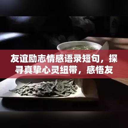 友誼勵志情感語錄短句，探尋真摯心靈紐帶，感悟友情的力量