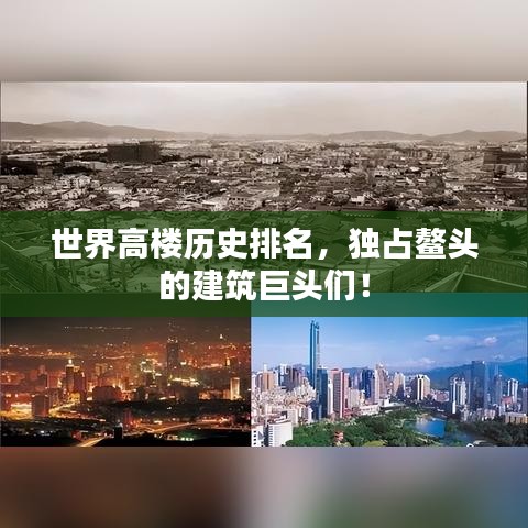 輕徙鳥舉 第2頁