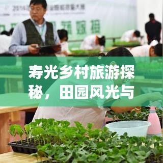 壽光鄉(xiāng)村旅游探秘，田園風(fēng)光與文化韻味之旅