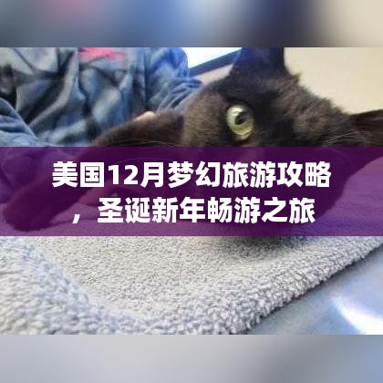 美國(guó)12月夢(mèng)幻旅游攻略，圣誕新年暢游之旅