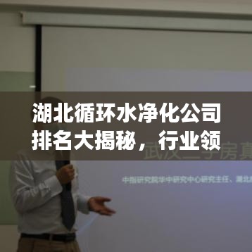 湖北循環(huán)水凈化公司排名大揭秘，行業(yè)領(lǐng)軍者一覽無余！