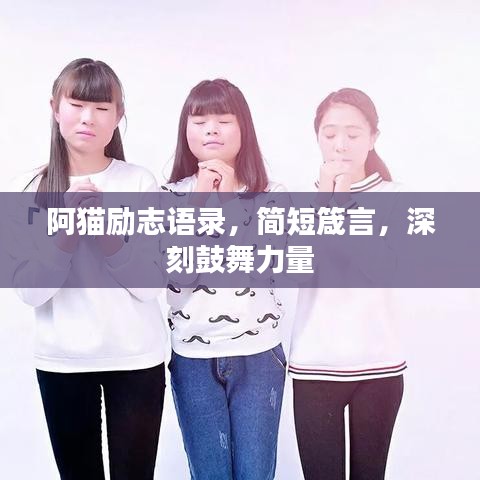 阿貓勵志語錄，簡短箴言，深刻鼓舞力量