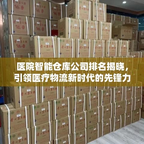 醫(yī)院智能倉庫公司排名揭曉，引領(lǐng)醫(yī)療物流新時代的先鋒力量榜