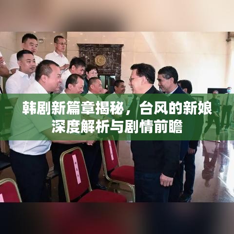 韓劇新篇章揭秘，臺風的新娘深度解析與劇情前瞻