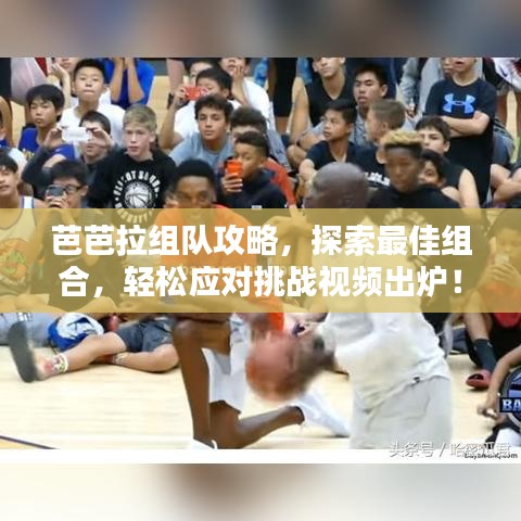 芭芭拉組隊(duì)攻略，探索最佳組合，輕松應(yīng)對(duì)挑戰(zhàn)視頻出爐！