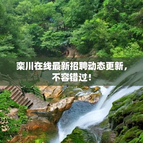 欒川在線最新招聘動(dòng)態(tài)更新，不容錯(cuò)過！