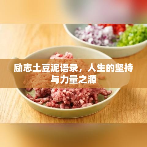 勵志土豆泥語錄，人生的堅持與力量之源