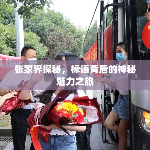 張家界探秘，標(biāo)語(yǔ)背后的神秘魅力之旅