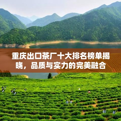 重慶出口茶廠十大排名榜單揭曉，品質與實力的完美融合