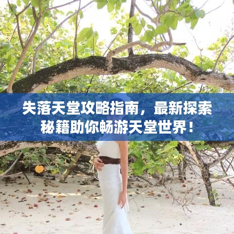 失落天堂攻略指南，最新探索秘籍助你暢游天堂世界！