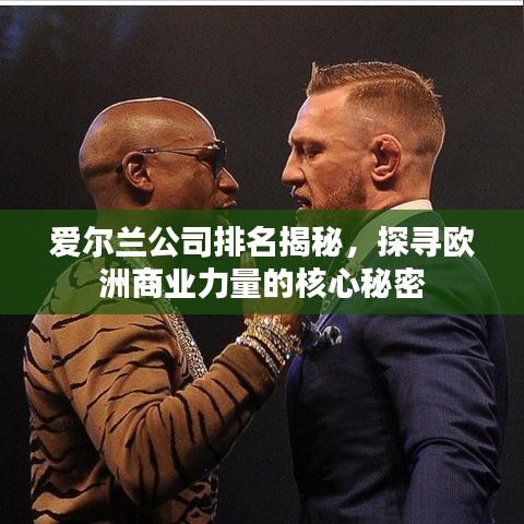 愛爾蘭公司排名揭秘，探尋歐洲商業(yè)力量的核心秘密