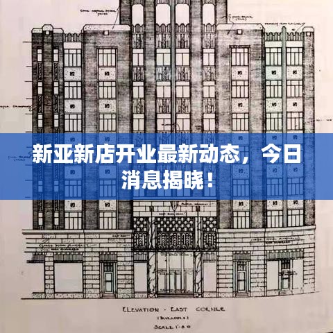 新亞新店開業(yè)最新動(dòng)態(tài)，今日消息揭曉！