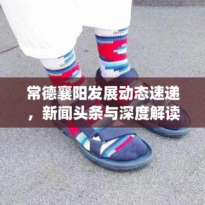 常德襄陽(yáng)發(fā)展動(dòng)態(tài)速遞，新聞?lì)^條與深度解讀