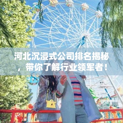 河北沉浸式公司排名揭秘，帶你了解行業(yè)領(lǐng)軍者！
