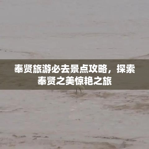 奉賢旅游必去景點(diǎn)攻略，探索奉賢之美驚艷之旅