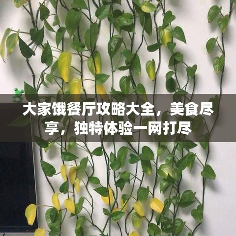 大家餓餐廳攻略大全，美食盡享，獨(dú)特體驗(yàn)一網(wǎng)打盡