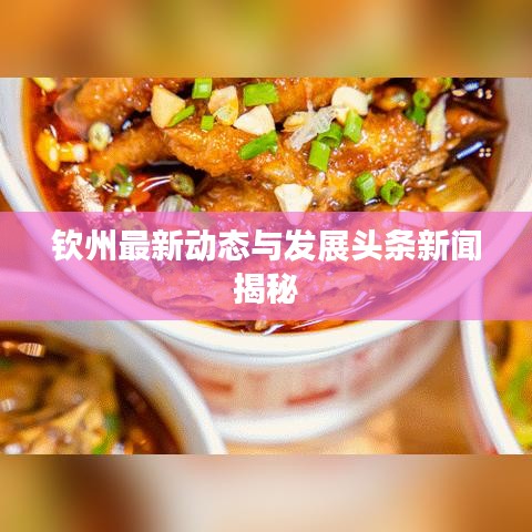 欽州最新動態(tài)與發(fā)展頭條新聞揭秘
