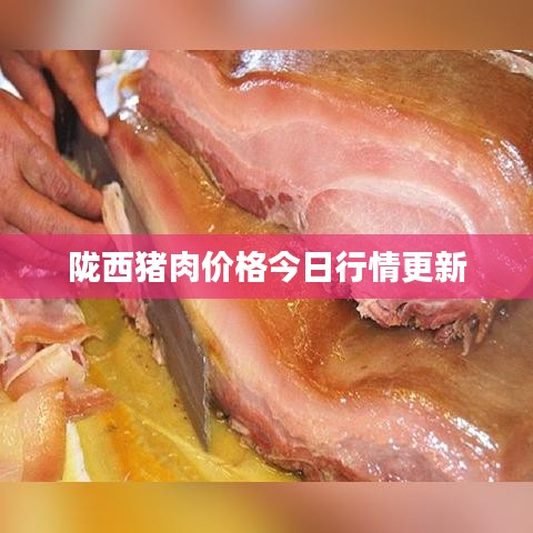 隴西豬肉價格今日行情更新
