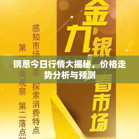 鋼蔥今日行情大揭秘，價格走勢分析與預測