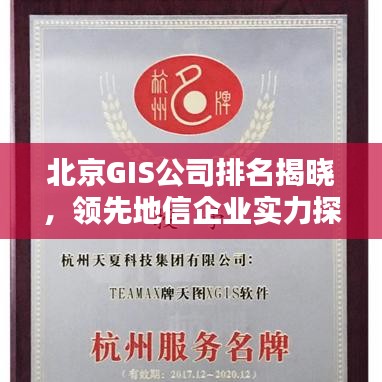 北京GIS公司排名揭曉，領(lǐng)先地信企業(yè)實(shí)力探索