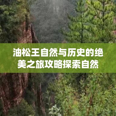 油松王自然與歷史的絕美之旅攻略探索自然美景與歷史文化韻味