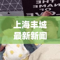 上海豐城最新新聞?lì)^條，揭秘城市新動(dòng)向與發(fā)展亮點(diǎn)