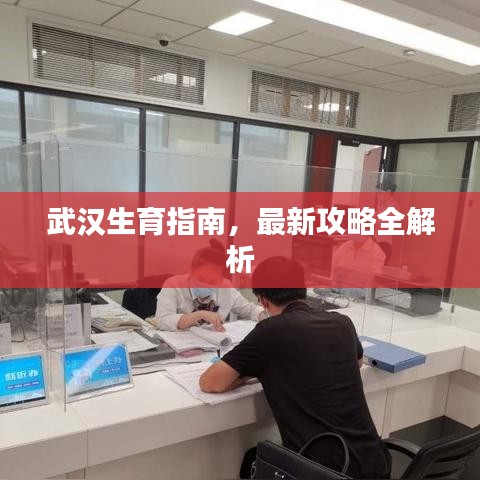 武漢生育指南，最新攻略全解析