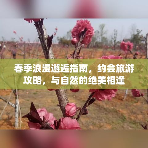 春季浪漫邂逅指南，約會(huì)旅游攻略，與自然的絕美相逢
