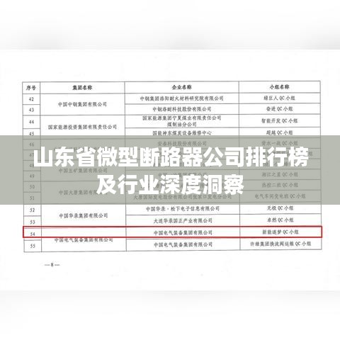 山東省微型斷路器公司排行榜及行業(yè)深度洞察