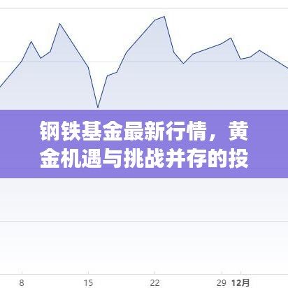 鋼鐵基金最新行情，黃金機(jī)遇與挑戰(zhàn)并存的投資策略分析