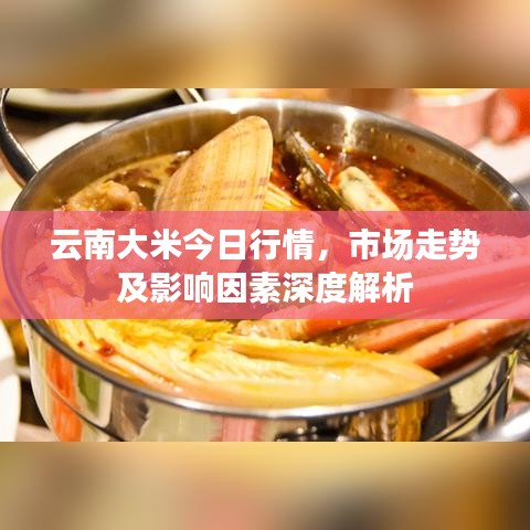 云南大米今日行情，市場走勢及影響因素深度解析