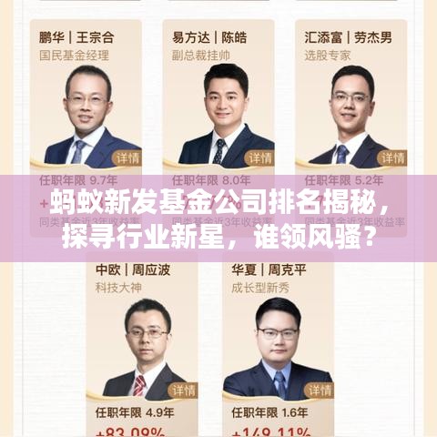螞蟻新發(fā)基金公司排名揭秘，探尋行業(yè)新星，誰領(lǐng)風(fēng)騷？