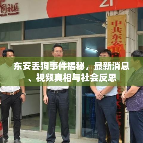東安丟狗事件揭秘，最新消息、視頻真相與社會反思