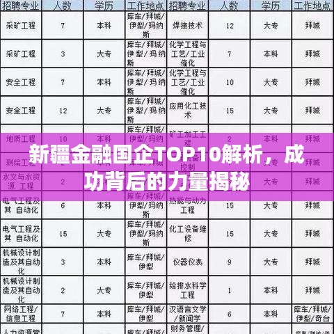 新疆金融國企TOP10解析，成功背后的力量揭秘