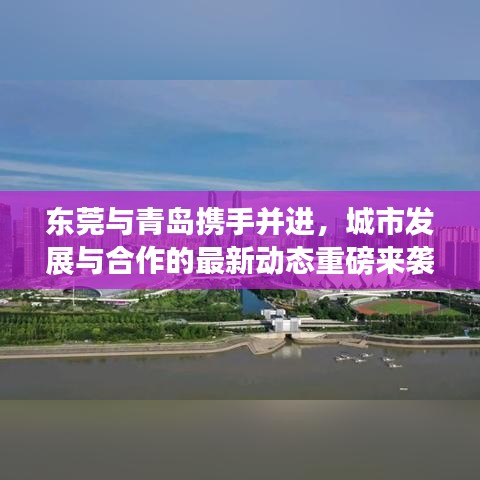 東莞與青島攜手并進(jìn)，城市發(fā)展與合作的最新動(dòng)態(tài)重磅來襲！