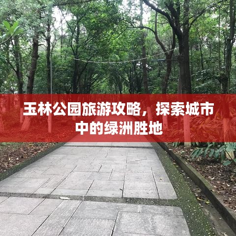 玉林公園旅游攻略，探索城市中的綠洲勝地