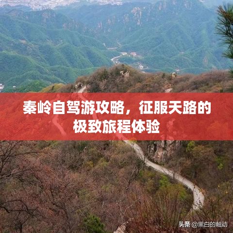 秦嶺自駕游攻略，征服天路的極致旅程體驗(yàn)