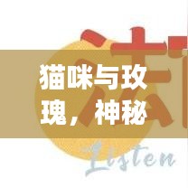 貓咪與玫瑰，神秘與美麗的交織之旅