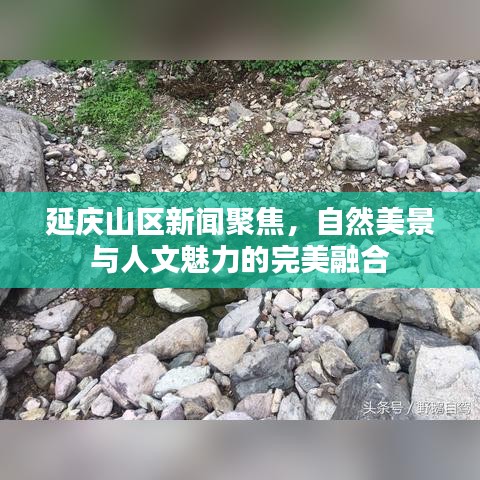 延慶山區(qū)新聞聚焦，自然美景與人文魅力的完美融合