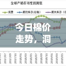 今日棉價(jià)走勢，洞悉市場動(dòng)態(tài)，百度權(quán)威數(shù)據(jù)一搜便知
