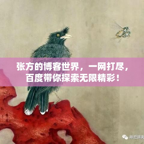 張方的博客世界，一網(wǎng)打盡，百度帶你探索無限精彩！