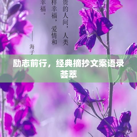 勵志前行，經典摘抄文案語錄薈萃