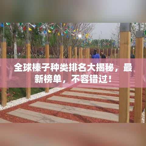 全球榛子種類排名大揭秘，最新榜單，不容錯過！